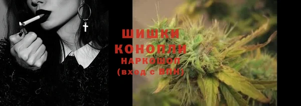сатива Баксан