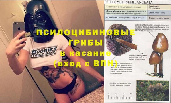 сатива Баксан