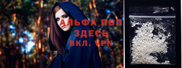сатива Баксан